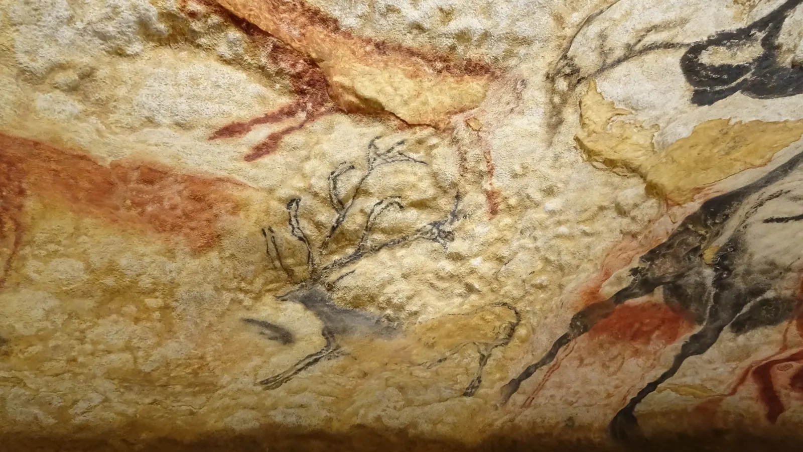 Fotografía en Cueva Lascaux - visol
