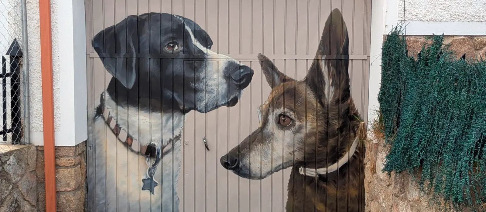 imagen cierre garaje particular perros